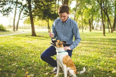 Chien en séance avec éducateur canin à Gex
