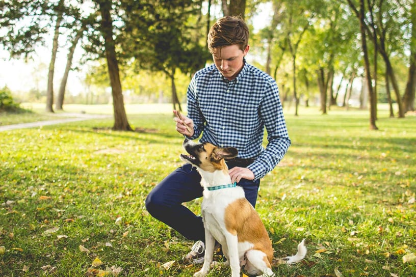 Chien en séance avec éducateur canin à Gex