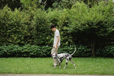 Chien en séance avec éducateur canin à Gex