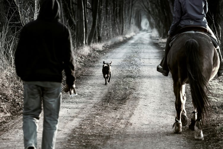 Chien en séance avec éducateur canin à Gex